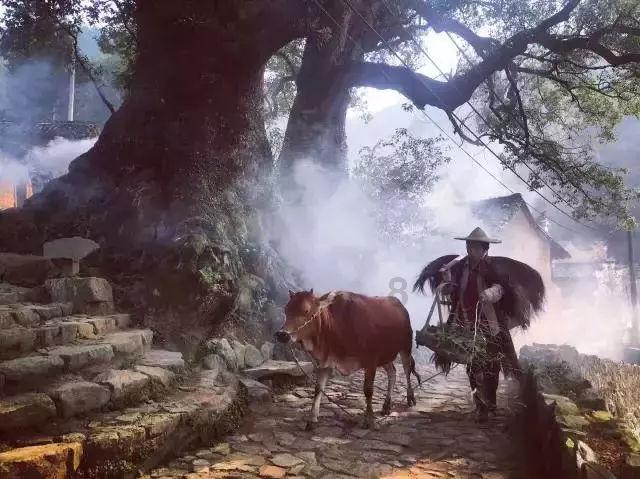 小猫钓鱼正版下载中文版
