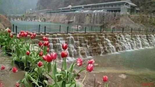 大妈吃自助餐疯狂“抢食”惹众怒,老板撵人反被叫嚣:交过钱了!