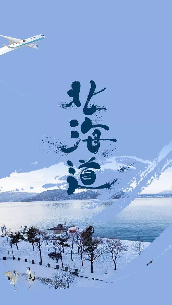 大连奇观！斑海豹与冬泳者同游