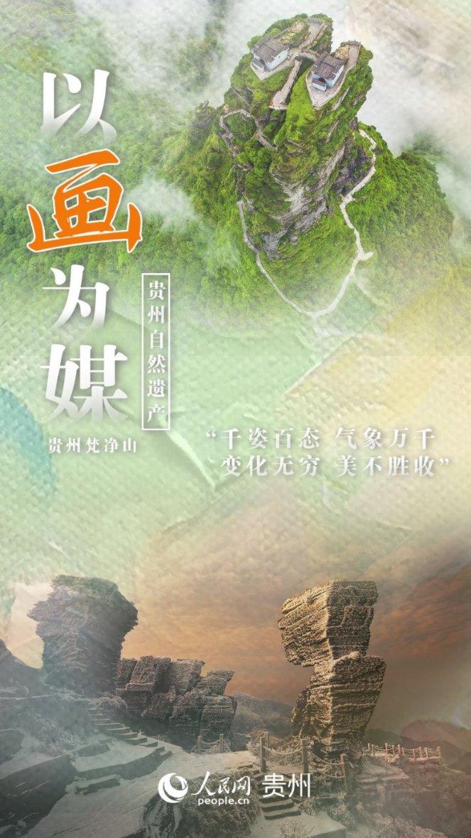 营救小乌龟