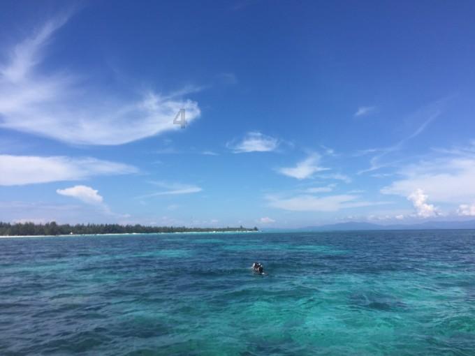 海底世界填颜色4