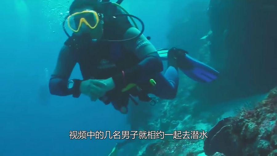 流放骑士