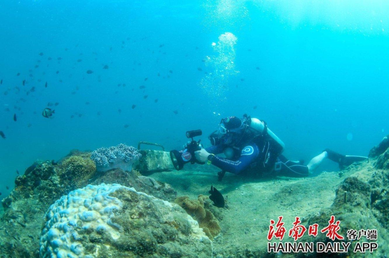 春雨直播app