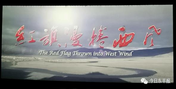 “让两岸亲情割不断，不再区分你和我”！福建这位县长深受触动