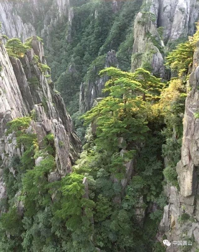 了解英语词源网站,参与知识星球平台