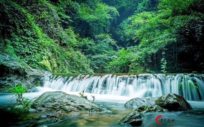 2024龙年“欢乐春节”在澳大利亚拉开序幕