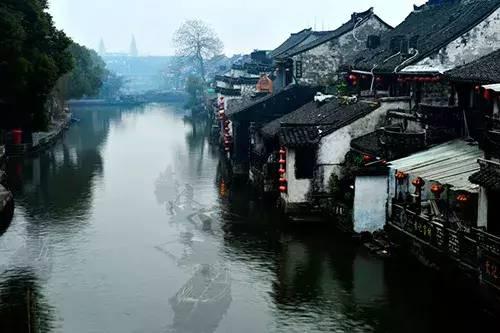 逃离金色蜜蜂森林