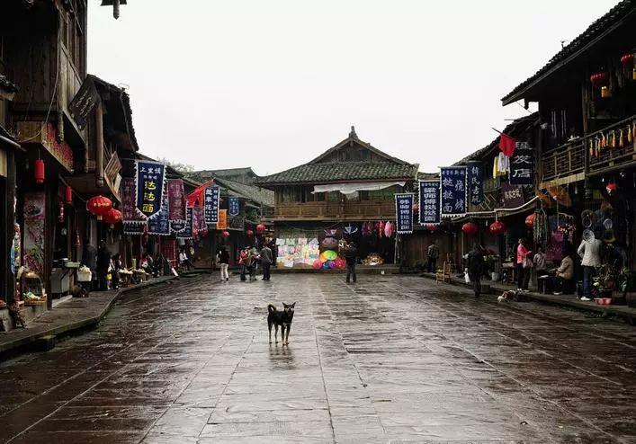 小猫钓鱼正版下载中文版