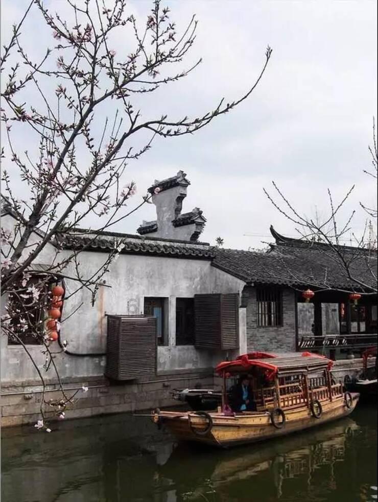 沈国权 沈雯《重生后我成了传奇》第1章