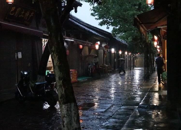救援男孩与狗