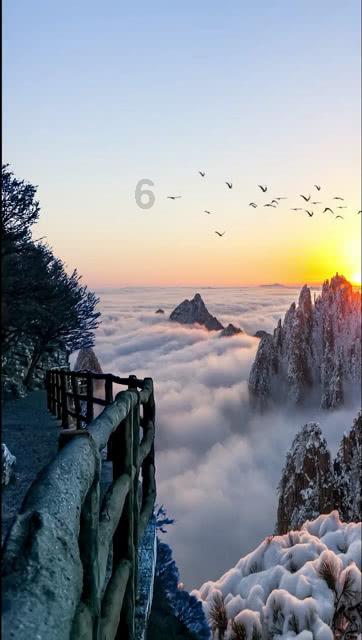 沪江开心词场